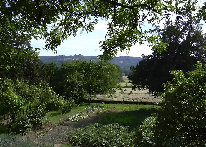 Saint Germain Au Coeur Du Lot Prudhomat